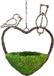 Galapagos Woven Bird Feeder, Sparrow, Fresh Green, 9.5-in