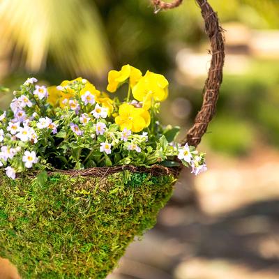 Show full view: Galapagos Woven Bird Feeder, Sparrow, Fresh Green, 9.5-in slide 3 of 6
