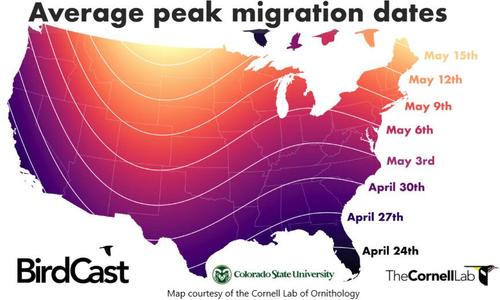 Show full view: Gamma2 Vittles Vault Outback Bird Food Storage, 35-lb slide 4 of 5