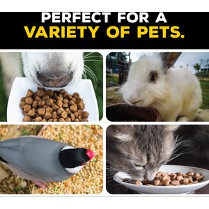 Gamma2 Vittles Vault Pawprint Pet Food Storage, Gray, 35-lb