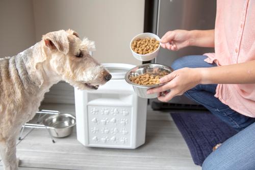 Show full view: Gamma2 Vittles Vault Pet Food Storage, 25-lb slide 3 of 7