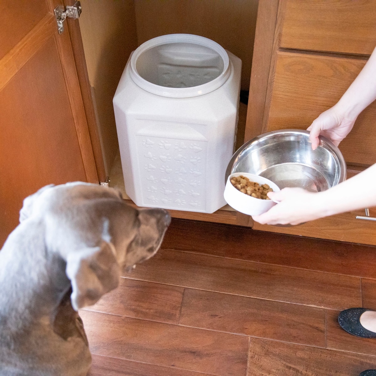 vittles vault dog food feeder with storage