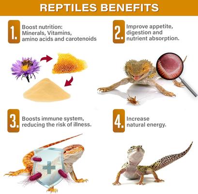 Show full view: Gargeer Bee Pollen Reptile Supplement, 4-oz bag slide 3 of 7