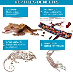 Gargeer Calcium Powder with Vitamin D3 Reptile & Amphibian Supplement, 4-oz bag slide 2 of 5