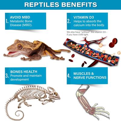 Show full view: Gargeer Calcium Powder with Vitamin D3 Reptile & Amphibian Supplement, 4-oz bag slide 4 of 5