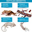 Show in main carousel: Gargeer Calcium Powder without Vitamin D3 Reptile & Amphibian Supplement, 4-oz bag slide 4 of 5
