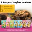 Show in main carousel: Gargeer Complete Breeder Crested Gecko Food, 2-oz bag slide 5 of 5