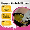 Show in main carousel: Gargeer Complete Breeder Crested Gecko Food, 2-oz bag slide 3 of 5