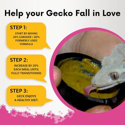 Show full view: Gargeer Complete Breeder Crested Gecko Food, 2-oz bag slide 3 of 5