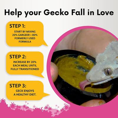 Show full view: Gargeer Complete Breeder Crested Gecko Food, 8-oz bag slide 3 of 6