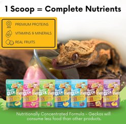 Gargeer Complete Fig Flavored Crested Gecko Food, 2-oz bag slide 2 of 5