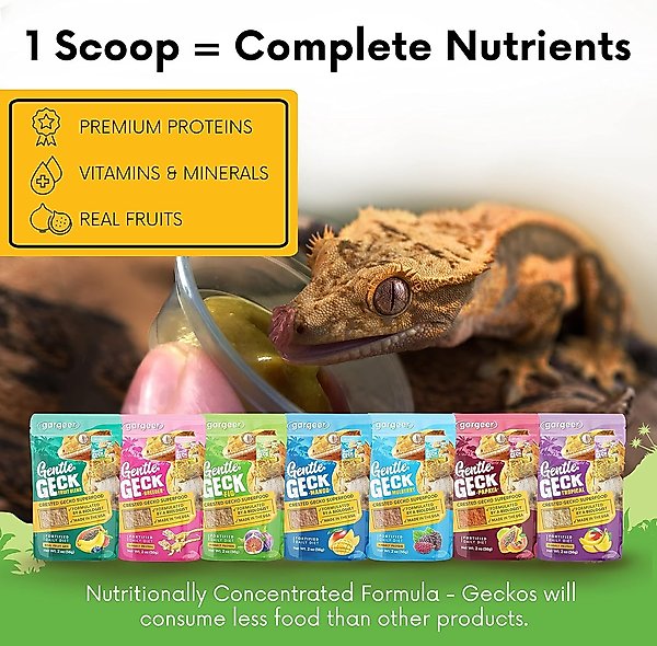 Show full view: Gargeer Complete Fig Flavored Crested Gecko Food, 2-oz bag slide 5 of 5
