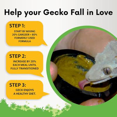 Show full view: Gargeer Complete Fig Flavored Crested Gecko Food, 2-oz bag slide 3 of 5