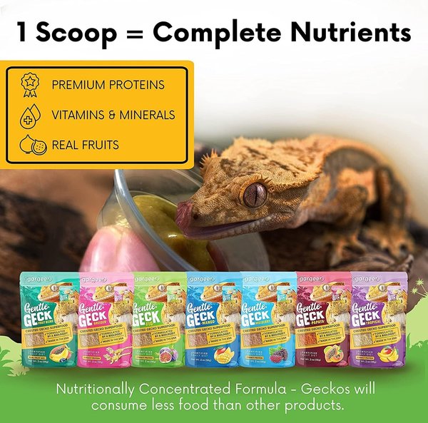 Gargeer Complete Fig Flavored Crested Gecko Food
