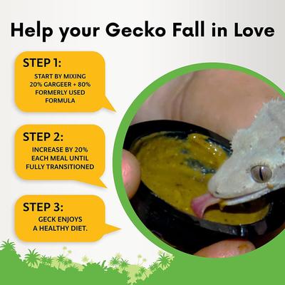 Show full view: Gargeer Complete Fig Flavored Crested Gecko Food, 8-oz bag slide 3 of 5