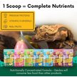 Show in main carousel: Gargeer Complete Fruit Blend Flavored Crested Gecko Food, 2-oz bag slide 5 of 5