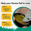 Show in main carousel: Gargeer Complete Fruit Blend Flavored Crested Gecko Food, 2-oz bag slide 3 of 5
