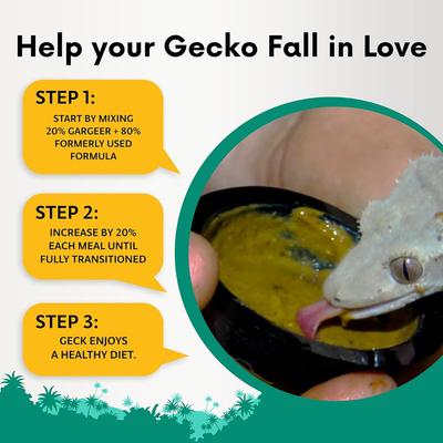 Show full view: Gargeer Complete Fruit Blend Flavored Crested Gecko Food, 2-oz bag slide 3 of 5