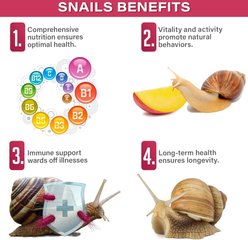 Gargeer Complete Fruit Diet Land Snail Food, 2-oz bag slide 2 of 6