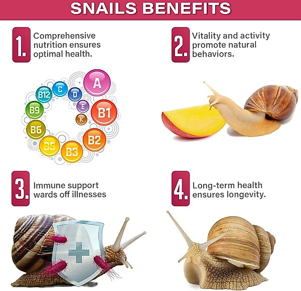Show full view: Gargeer Complete Fruit Diet Land Snail Food, 2-oz bag slide 5 of 6