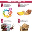Show in main carousel: Gargeer Complete Fruit Diet Land Snail Food, 2-oz bag slide 5 of 6