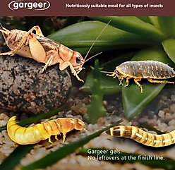 Gargeer Complete Gel Diet Bug & Insect Food, 3-oz bag slide 2 of 6