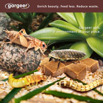 Show full view: Gargeer Complete Gel Diet Bug & Insect Food, 3-oz bag slide 5 of 6