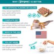 Show in main carousel: Gargeer Complete Gel Diet Leopard Gecko Food, 3-oz bag slide 4 of 6