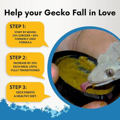 Show full view: Gargeer Complete Mango Flavored Crested Gecko Food, 16-oz bag slide 4 of 5