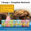 Show in main carousel: Gargeer Complete Mango Flavored Crested Gecko Food, 2-oz bag slide 5 of 5