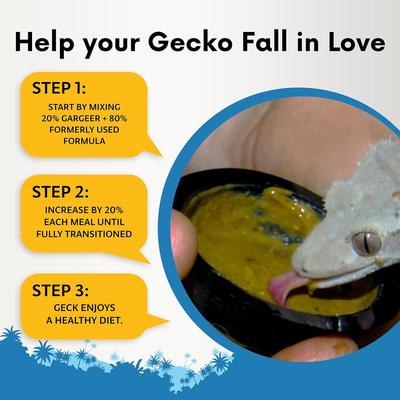 Show full view: Gargeer Complete Mango Flavored Crested Gecko Food, 2-oz bag slide 3 of 5