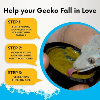 Show full view: Gargeer Complete Mulberry Flavored Crested Gecko Food, 16-oz bag slide 3 of 4