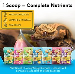 Gargeer Complete Mulberry Flavored Crested Gecko Food, 2-oz bag slide 2 of 5