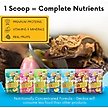 Show in main carousel: Gargeer Complete Mulberry Flavored Crested Gecko Food, 2-oz bag slide 5 of 5