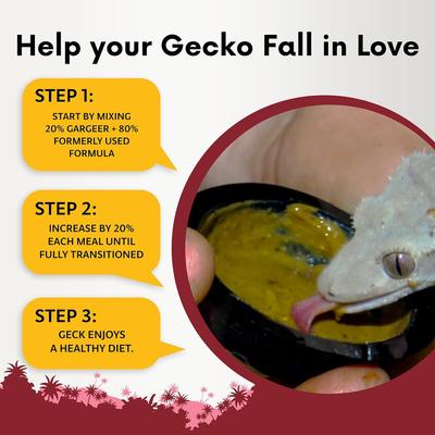 Show full view: Gargeer Complete Papaya Flavored Crested Gecko Food, 16-oz bag slide 3 of 6