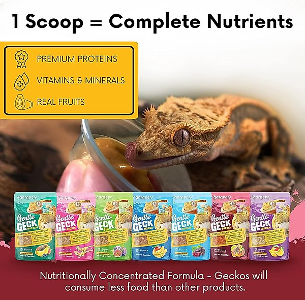 Show full view: Gargeer Complete Papaya Flavored Crested Gecko Food, 2-oz bag slide 5 of 5