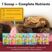 Show in main carousel: Gargeer Complete Papaya Flavored Crested Gecko Food, 2-oz bag slide 5 of 5