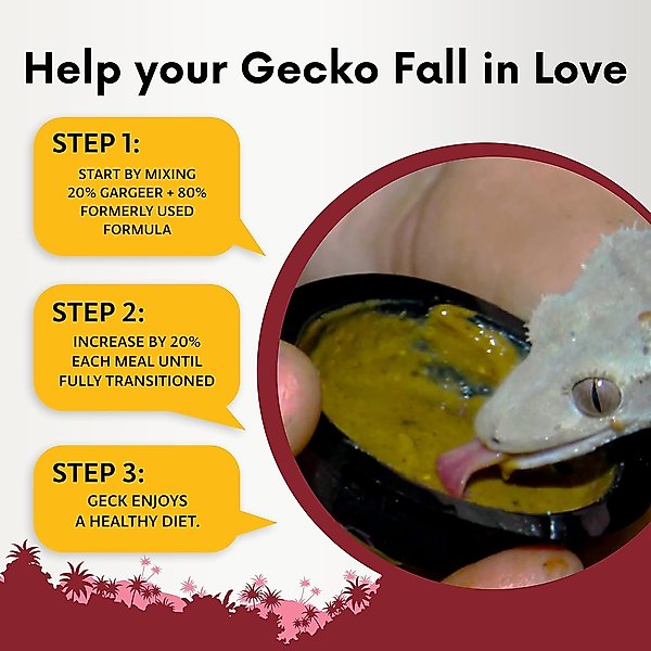Show full view: Gargeer Complete Papaya Flavored Crested Gecko Food, 2-oz bag slide 3 of 5