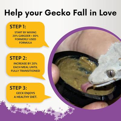 Show full view: Gargeer Complete Tropical Flavored Crested Gecko Food, 2-oz bag slide 3 of 5