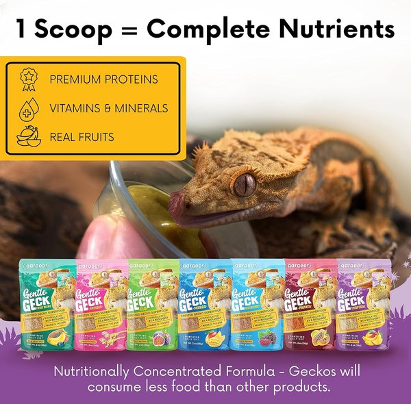 Show full view: Gargeer Complete Tropical Flavored Crested Gecko Food, 2-oz bag slide 5 of 5