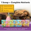 Show in main carousel: Gargeer Complete Tropical Flavored Crested Gecko Food, 2-oz bag slide 5 of 5