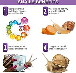 Gargeer Complete Veggie Land Snail Food, 2-oz bag slide 2 of 6