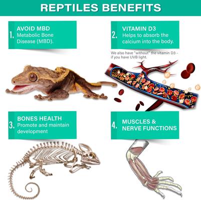 Show full view: Gargeer Fruit Blend Calcium Powder with Vitamin D3 Reptile & Amphibian Supplement, 4-oz bag slide 4 of 5