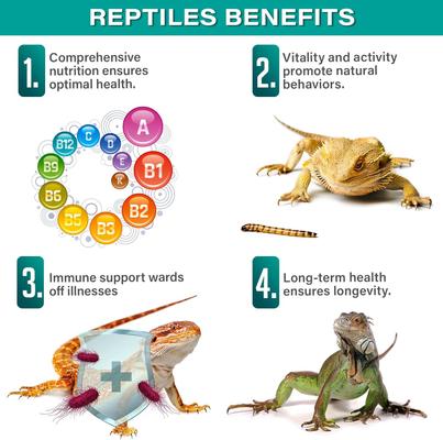 Show full view: Gargeer Fruit Blend Reptile & Amphibian Multi-Vitamin Premium Powder Supplement, 4-oz bag slide 4 of 6