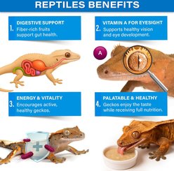 Gargeer Picky Geck Caledonian Breeze Tropical Fruit Formula for Digestion & Eye Support Premium Crested Gecko Food, 2-oz bag slide 2 of 6