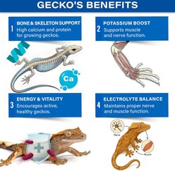 Gargeer Picky Geck Real Fruit & Insect Protein 8 Flavors Sachet Gecko Discovery Kit, 2.4-oz bag slide 2 of 7