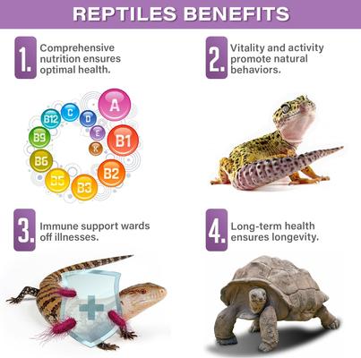 Show full view: Gargeer Reptile & Amphibian Multi-Vitamin Premium Powder Supplement, 4-oz bag slide 4 of 6