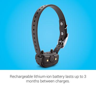 Show full view: Garmin BarkLimiter Deluxe Dog Training Collar slide 5 of 11