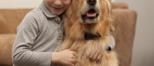 Show full view: Garmin BarkLimiter Deluxe Dog Training Collar slide 9 of 11