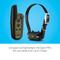 Show in main carousel: Garmin Sport PRO Training Collar Bundle, Black  slide 3 of 9